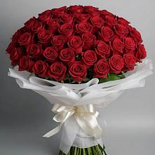 Букет 101 Красная роза Блэк Мэджик в Костенках