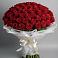 Букет 101 Красная роза Блэк Мэджик в Костенках