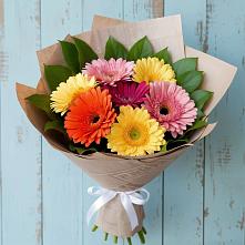 Букет цветов из:  Герберы в Костенках