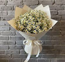 Букет цветов из:  Ромашки #REPLACE_PRED# Костенках