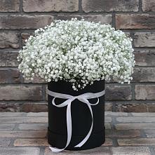 Цветочная композиция из Гипсофила в шляпной коробке в Костенках